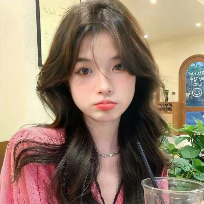 神烦警探第五季